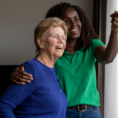 helper-caring-for-elderly-lady _ Domiciliary Care (Including Day & Night Care)